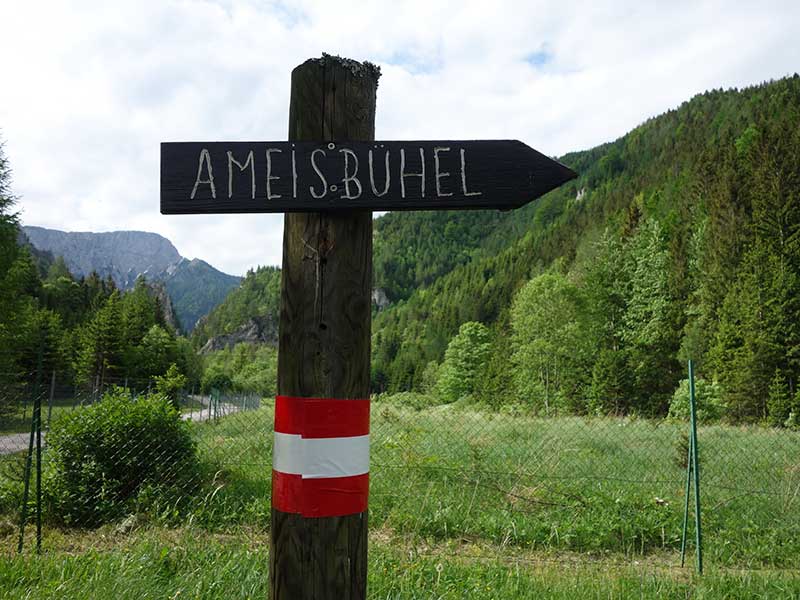 Ameisbühel